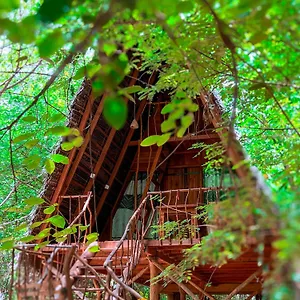 Station touristique Tree House Ambasewana, Habarana