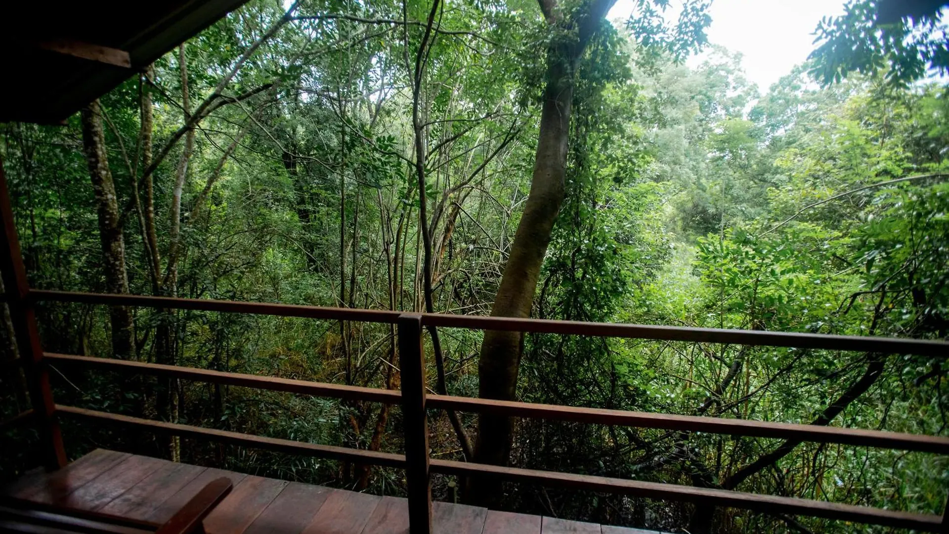 Hotel Inn On The Tree Eco Resort Sigiriya Kibissa