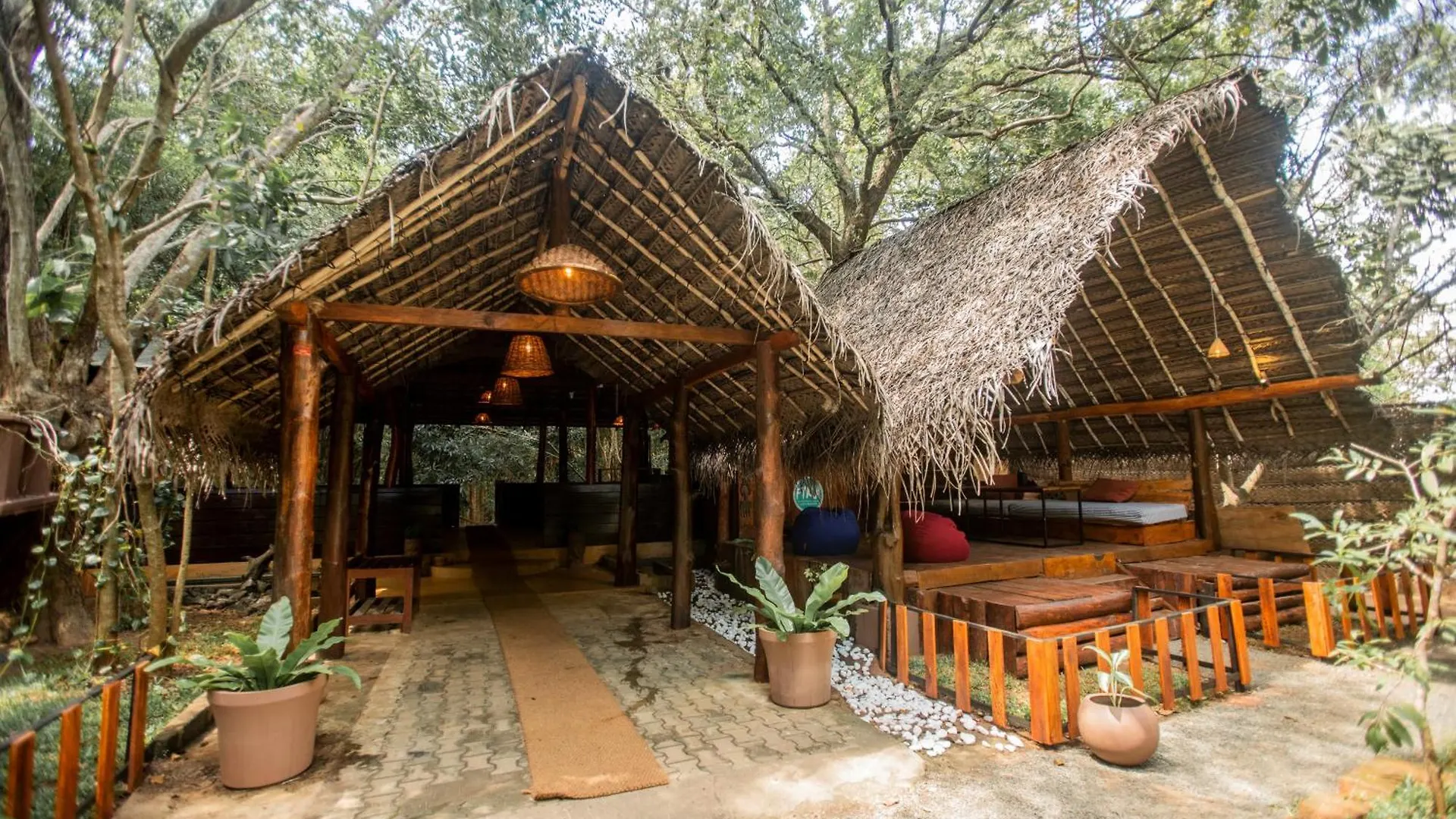 Hotel Inn On The Tree Eco Resort Sigiriya Kibissa Sri Lanka