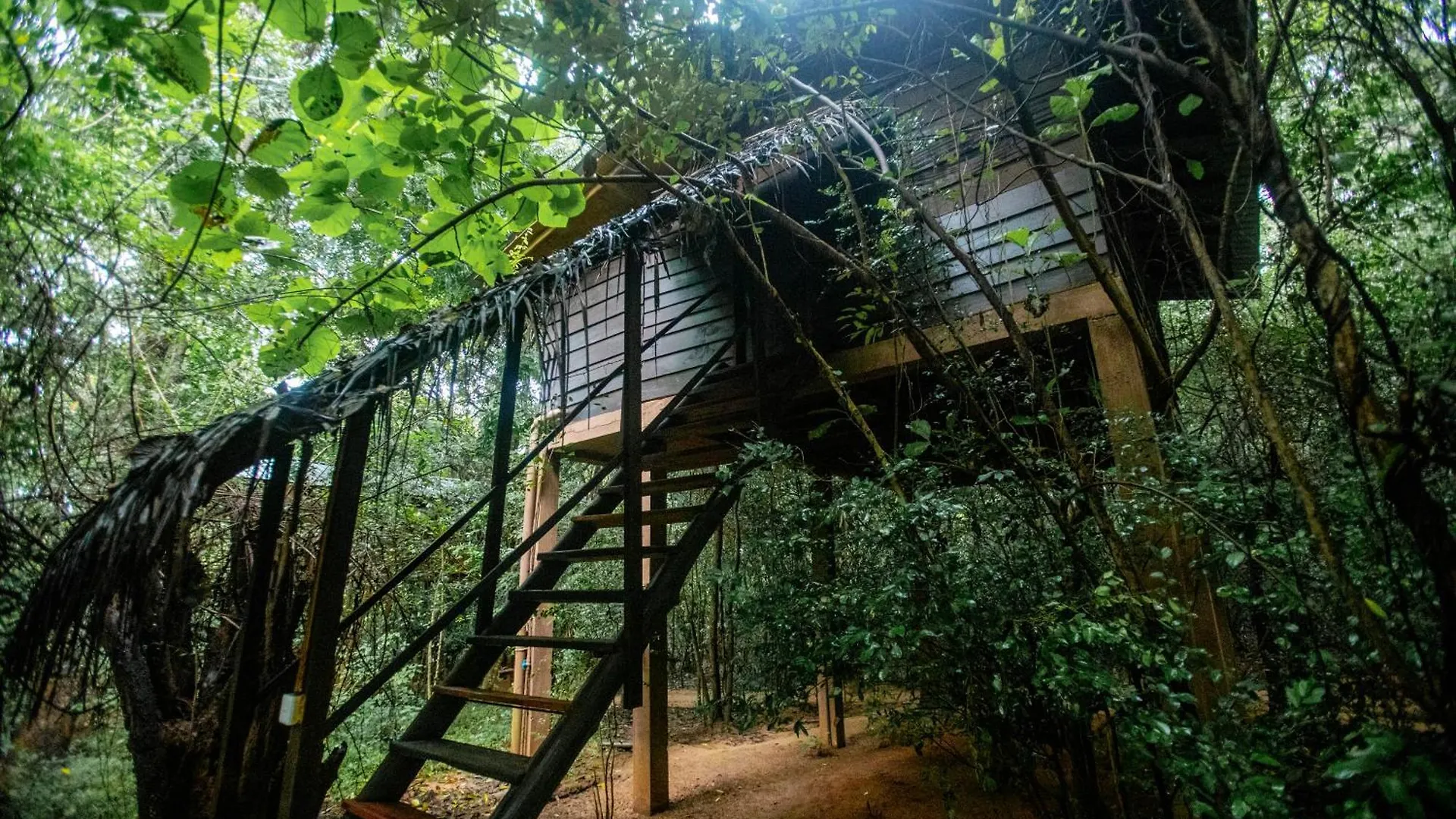 Inn On The Tree Eco Resort Sigiriya Kibissa
