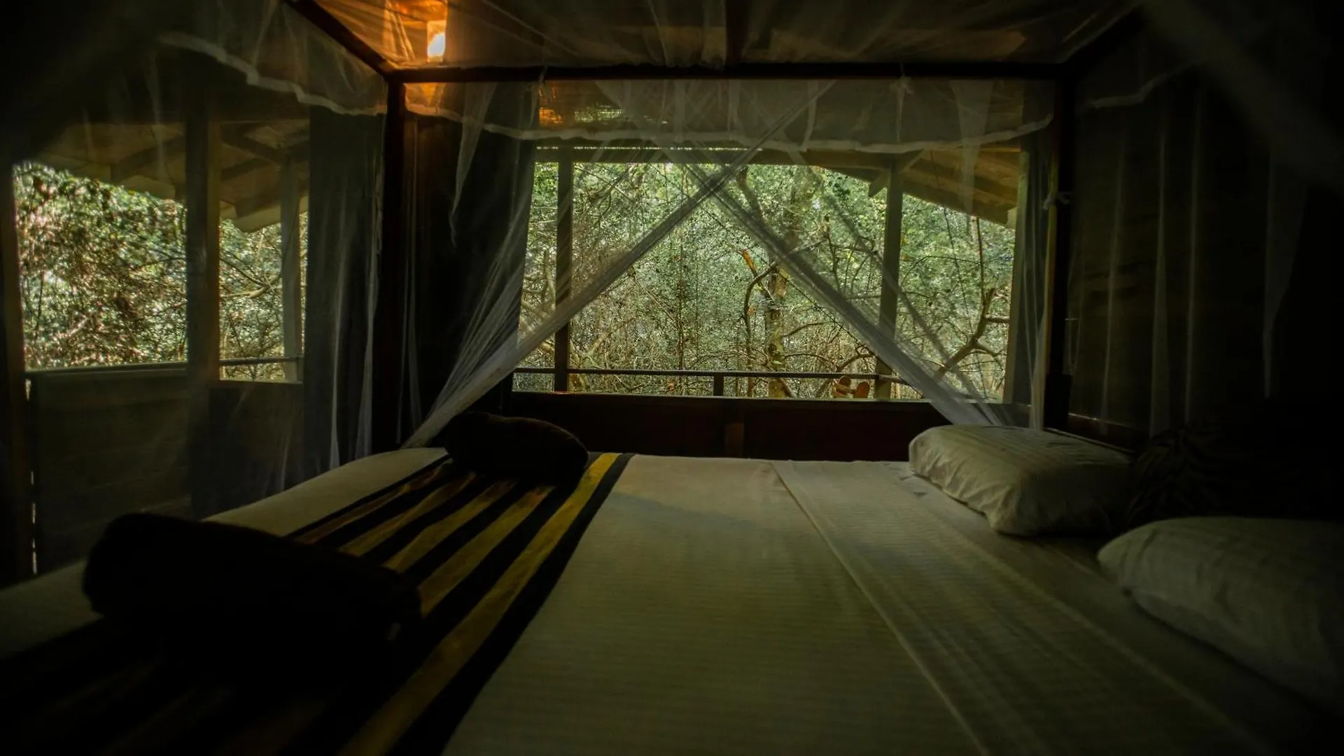 Inn On The Tree Eco Resort Sigiriya Kibissa Sri Lanka