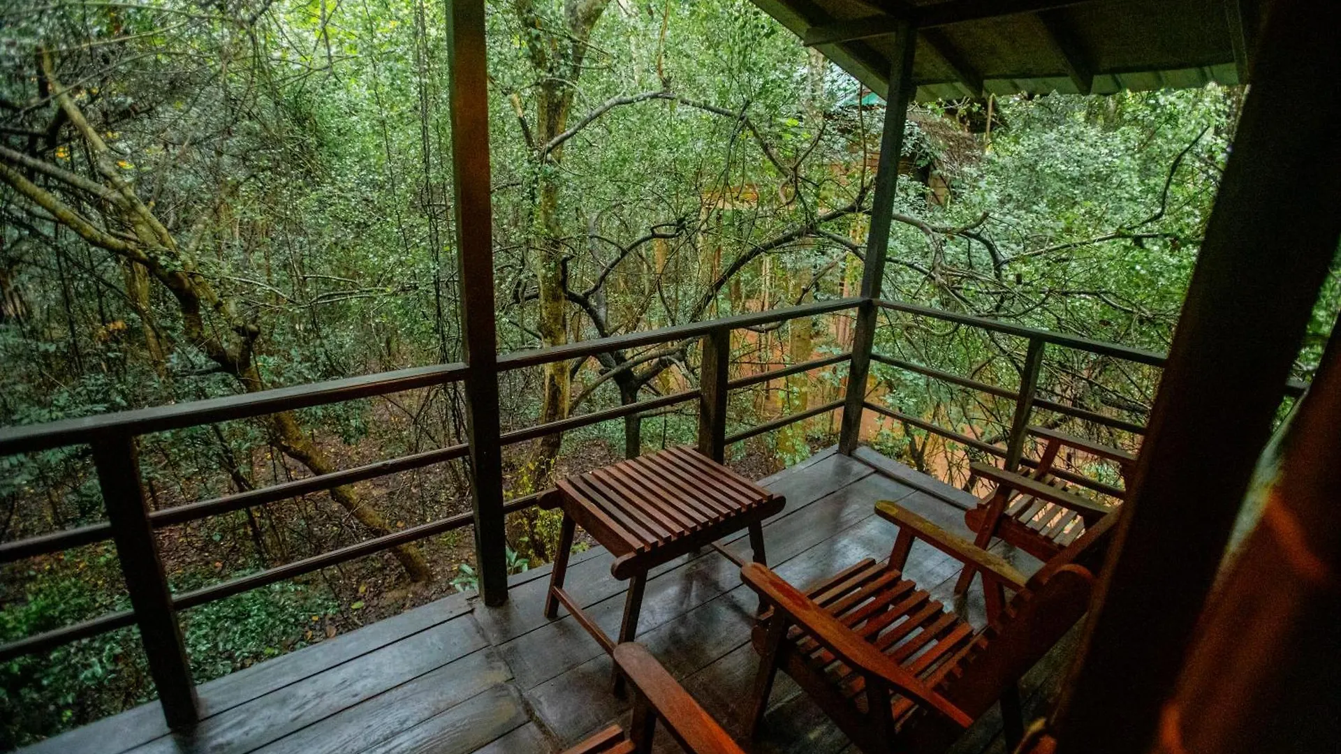 Hotel Inn On The Tree Eco Resort Sigiriya Kibissa